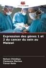 Nelson Chimbiya, Trevor Kaile, Clemence Marimo - Expression des gènes 1 et 2 du cancer du sein au Malawi
