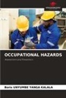 Boris Unyumbe Yanga Kalala - OCCUPATIONAL HAZARDS