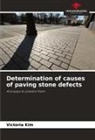 Victoria Kim - Determination of causes of paving stone defects