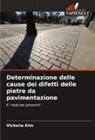 Victoria Kim - Determinazione delle cause dei difetti delle pietre da pavimentazione