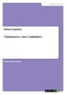 Hakima Degaichia - Optimisation Sans Cantraintes