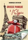 Dominique Simoncini - Grosse panique à l'Élysée