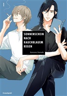 Kamome HAMADA, Kamome HAMADA - Sonnenschein nach rauchblauem Regen - Band 1
