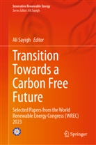 Ali Sayigh - Transition Towards a Carbon Free Future