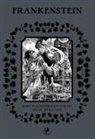 Mary Shelley, Bernie Wrightson - Frankenstein