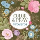 New Seasons, Publications International Ltd - Color & Pray: Proverbs (Keepsake Coloring Books)