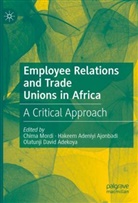 Olatunji David Adekoya, Hakeem Adeniyi Ajonbadi, Chima Mordi - Employee Relations and Trade Unions in Africa