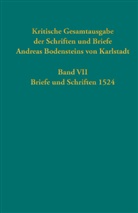 Thomas Kaufmann - Kritische Gesamtausgabe der Schriften und Briefe Andreas Bodensteins von Karlstadt