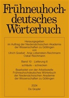 Robert R Anderson, Ulrich Goebel, Oskar Reichmann, Ulrich Goebel, Anja Lobenstein-Reichmann, Oskar Reichmann - Frühneuhochdeutsches Wörterbuch - Band 10/Lieferung 6: schläufe - schrecken