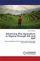 James Oladimeji - Advancing Rice Agriculture in Nigeria through GIS and AHP