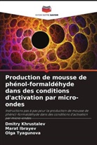 Marat Ibrayev, Dmitry Khrustalev, Olga Tyagunova - Production de mousse de phénol-formaldéhyde dans des conditions d'activation par micro-ondes