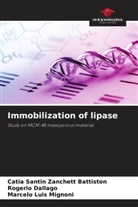 Cátia Santin Zanchett Battiston, Rogério Dallago, Marcelo Luis Mignoni - Immobilization of lipase