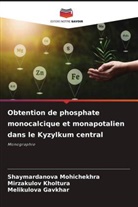 Melikulova Gavkhar, Mirzakulov Kholtura, Shaymardanova Mohichekhra - Obtention de phosphate monocalcique et monapotalien dans le Kyzylkum central
