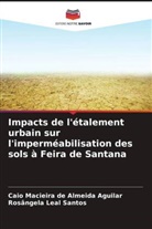 Rosângela Leal Santos, Caio Macieira de Almeida Aguilar - Impacts de l'étalement urbain sur l'imperméabilisation des sols à Feira de Santana