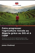 James Oladimeji - Faire progresser l'agriculture rizicole au Nigeria grâce au SIG et à l'AHP