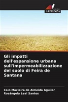 Rosângela Leal Santos, Caio Macieira de Almeida Aguilar - Gli impatti dell'espansione urbana sull'impermeabilizzazione del suolo di Feira de Santana