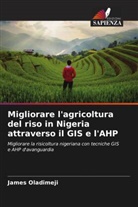 James Oladimeji - Migliorare l'agricoltura del riso in Nigeria attraverso il GIS e l'AHP