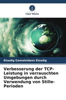 Elsadig Gamaleldeen Elsadig - Verbesserung der TCP-Leistung in verrauschten Umgebungen durch Verwendung von Stille-Perioden