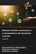 Melikulova Gavkhar, Mirzakulov Kholtura, Shaymardanova Mohichekhra - Ottenere fosfato monocalcico e monapotalico dal Kyzylkum centrale