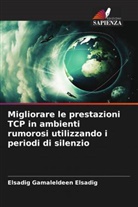 Elsadig Gamaleldeen Elsadig - Migliorare le prestazioni TCP in ambienti rumorosi utilizzando i periodi di silenzio