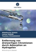 Younes ESSAADAOUI, Youness Essaadaoui, Lamya Kadiri, Abdelkarim Ouass - Entfernung von dreiwertigen Chromionen durch Adsorption an Hydrogelen