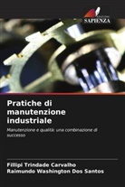 Fillipi Trindade Carvalho, Raimundo Washington Dos Santos - Pratiche di manutenzione industriale