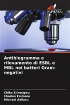Michael Adikwu, Chika Ejikeugwu, Charles Esimone - Antibiogramma e rilevamento di ESBL e MBL nei batteri Gram-negativi