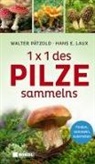 Hans E Laux, Hans E. Laux, Walter Pätzold - 1 x 1 des Pilzesammelns