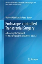Waleed Abdelfattah Azab, Waleed Abdelfattah Azab - Endoscope-controlled Transcranial Surgery