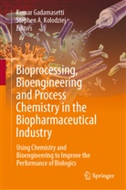 Kumar Gadamasetti, A Kolodziej, Stephen A Kolodziej, Kumar Gadamasetti, Stephen A. Kolodziej - Bioprocessing, Bioengineering and Process Chemistry in the Biopharmaceutical Industry