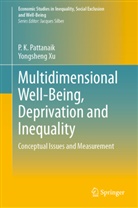 P K Pattanaik, P. K. Pattanaik, Yongsheng Xu - Multidimensional Well-Being, Deprivation and Inequality