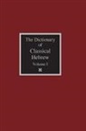 David J. A. Clines - The Dictionary of Classical Hebrew Volume 1