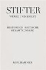 Adalbert Stifter, Bayerische Akademie der Wissenschaften, Bayerische Akademie Der Wissenschaften, Alfred Doppler, Doppler u, Wolfgang Frühwald... - Briefe von Adalbert Stifter 1866-1868