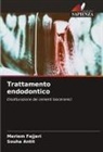 Souha Antit, Meriem Fejjeri - Trattamento endodontico