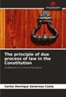 Carlos Henrique Generoso Costa - The principle of due process of law in the Constitution