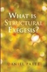 Daniel Patte - What Is Structural Exegesis?