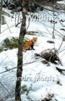 Sandra Morris - The Wilding