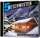 5 Geschwister, Tobias Schier, Tobias Schuffenhauer - Gefährlich rieselt der Schnee - Folge 44 (Audio book)