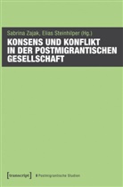 Elias Steinhilper, Sabrina Zajak - Konsens und Konflikt in der postmigrantischen Gesellschaft