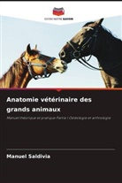 Manuel Saldivia - Anatomie vétérinaire des grands animaux