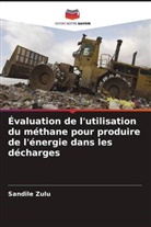 Sandile Zulu - Évaluation de l'utilisation du méthane pour produire de l'énergie dans les décharges