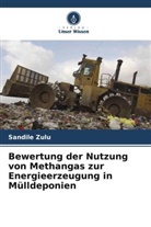 Sandile Zulu - Bewertung der Nutzung von Methangas zur Energieerzeugung in Mülldeponien
