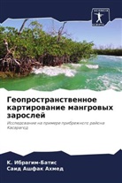 Said Ashfak Ahmed, K. Ibragim-Batis - Geoprostranstwennoe kartirowanie mangrowyh zaroslej