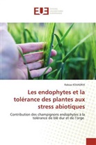 Rabiaa KOUADRIA - Les endophytes et la tolérance des plantes aux stress abiotiques
