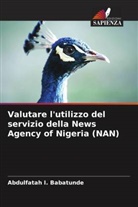 Abdulfatah I. Babatunde - Valutare l'utilizzo del servizio della News Agency of Nigeria (NAN)