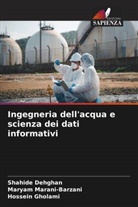 Shahide Dehghan, Hossein Gholami, Maryam Marani-Barzani - Ingegneria dell'acqua e scienza dei dati informativi