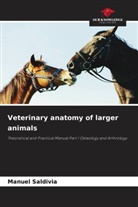 Manuel Saldivia - Veterinary anatomy of larger animals