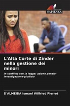 D'Almeida Ismael Wilfried Pierrot - L'Alta Corte di Zinder nella gestione dei minori