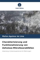 Mailon Aguimar de Lima - Charakterisierung und Funktionalisierung von Zellulose-Mikrofaserabfällen