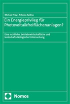 Michael Frey, Antonia Kallina - Ein Energieprivileg für Photovoltaikfreiflächenanlagen?